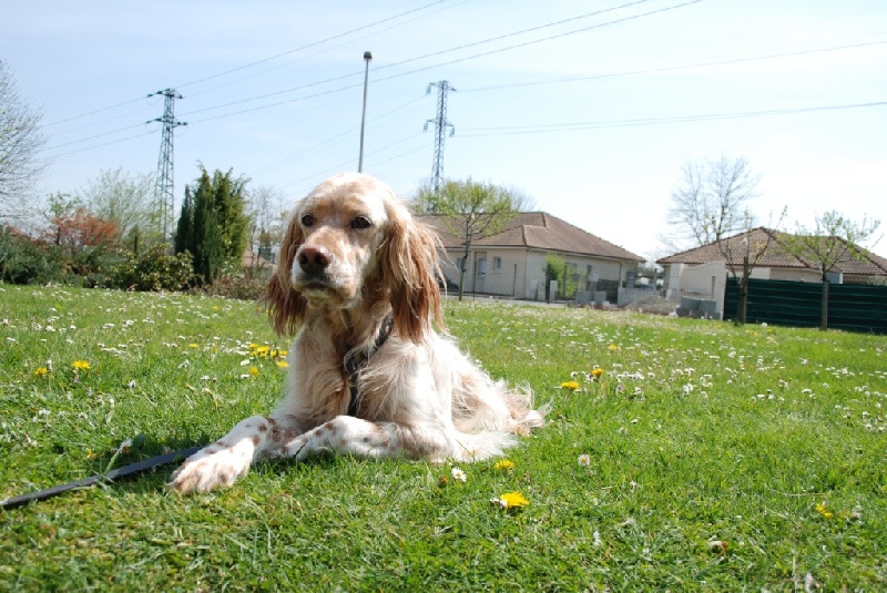 Baïla de la Gaudrière