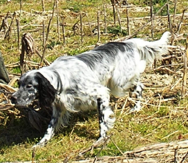 Déesse de la Gaudrière