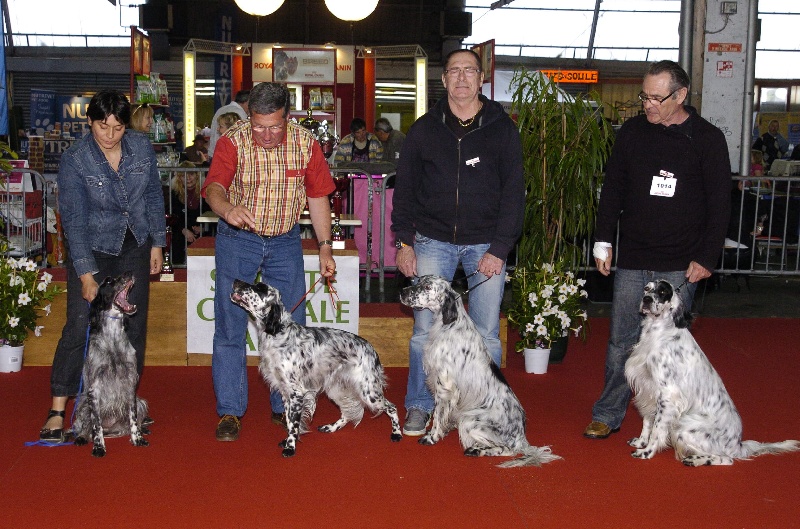 Exposition CACIB de Pau 2013